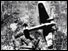German Heinkel 111 bomber flies over London during the Battle of Britain - 1940 