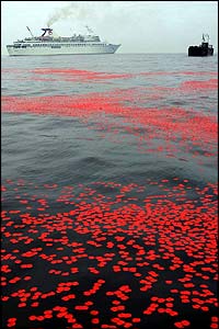 A million poppies 