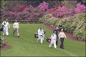 The 13th tee