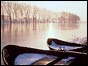 The Rhine 