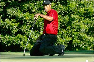 Tiger Woods