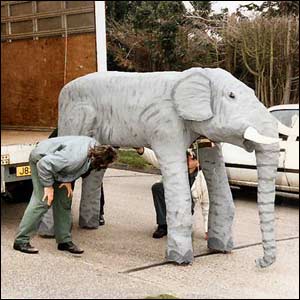 How to transport an elephant