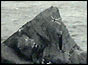 The four men on Rockall