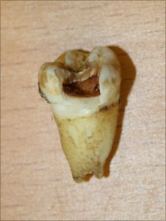 Photo: Omega Auction House