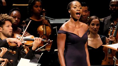 Chineke! The story of a concert that went viral