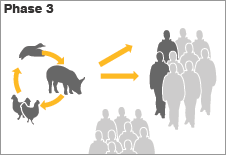 Antigenic shift in pigs