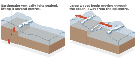 Graphic showing how the the large waves that create a tsunami are formed by the upward movement of the Earths under-sea plates after a sub-oceanic earthquake