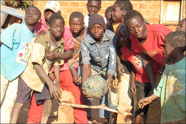 News image