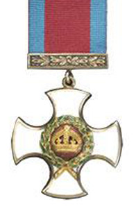 dso medal image