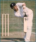 David Steele