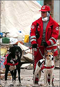 امداد رسانی خارجی در بم 