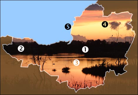 Top five spots for wildlife in Somerset