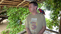 Andy Kershaw goes in search of music from jungles in the Solomon Islands