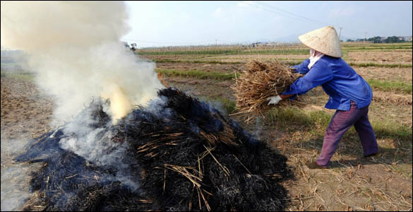 nong dan o ngoai thanh ha noi, farmer, hanoi