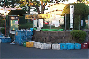 Picture: recling bins in Japan