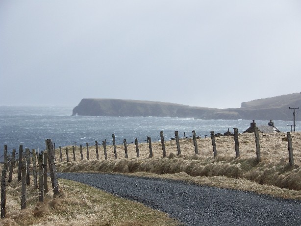 View of LambHoga at 2:40pm