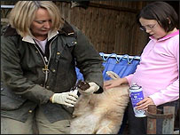 Jan Rosser with her daughter and a sheep