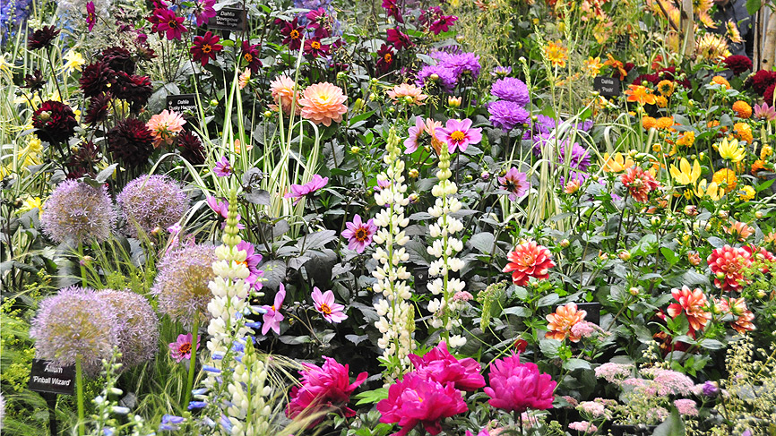Show garden at Gardening Scotland