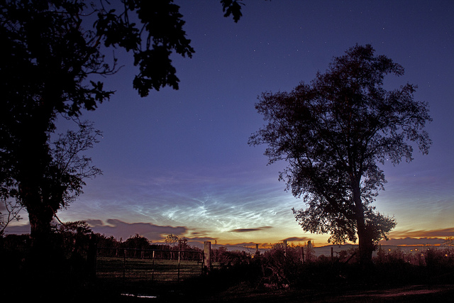 Noctilucent Clouds in the Summer Sky