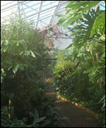 The glasshouse in Pudsey Park