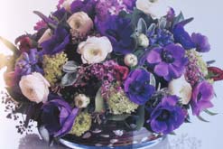 Spring arrangement - photograph by Sian Irvine