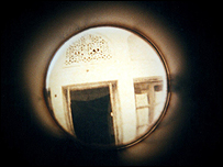 عکسی از غزاله هدایت