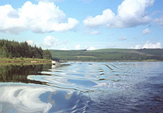 Kielder Water