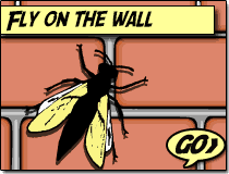 Fly on the wall