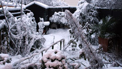 winter 2009