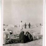 Natives building our wind break at El Khanka