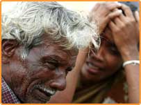 سری لنکا کے مشرق میں سمندری ساحل