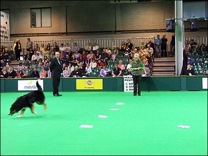 crufts_2007_friday_1