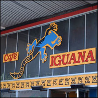 Cafe Iguana