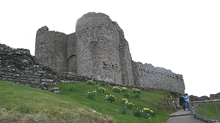 Castell Cricieth