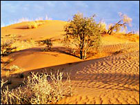 मरुस्थल