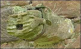 A gargoyle water spout at Brackenhill