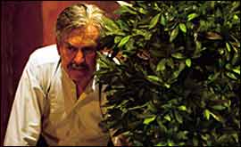 Much Ado About Nothing 