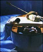 Tiger from Life Of Pi