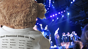 Harley Bear in Glasgow|00|Kathleen Mosley, Montrose Scotland 