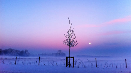 Snow scene taken by Nigel 