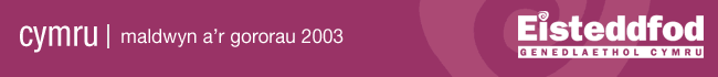 Eisteddfod Genedlaethol Cymru 2003