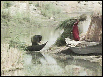 Irak'taki bataklık alanlar 