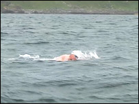 man swimming