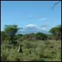 Mt Kilimanjaro from the base camp