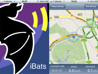 bat, ibat, software