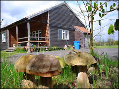 Eco-lodge in Lincolnshire