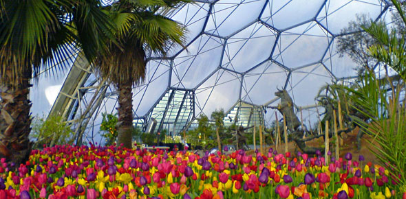 Bulb mania at the Eden Project (Photo: Ben Foster)