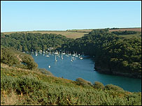 Yachts on the River Yealm near Newton Ferrers