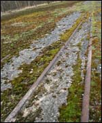 The rails are overgrown by moss