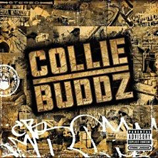 Review of Collie Buddz